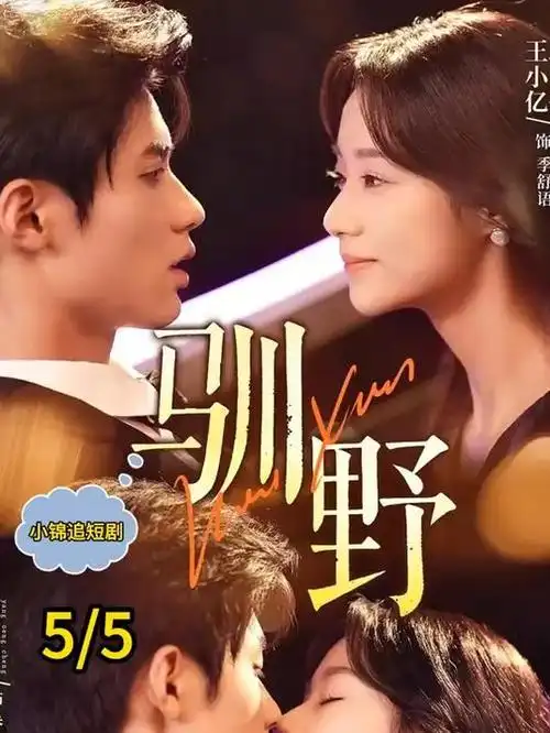玫瑰的故事 电视剧